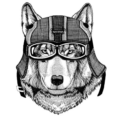 Kurt köpek motosiklet miğfer, havacı kask gösterim amacıyla t-shirt, yama, logo, rozet, amblem, logo motorcu t-shirt hayvanla birlikte