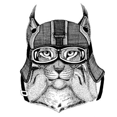 Vahşi kedi Lynx Bobcat tırıs motosiklet miğfer, havacı kask gösterim amacıyla t-shirt, yama, logo, rozet, amblem, logo motorcu t-shirt hayvanla birlikte