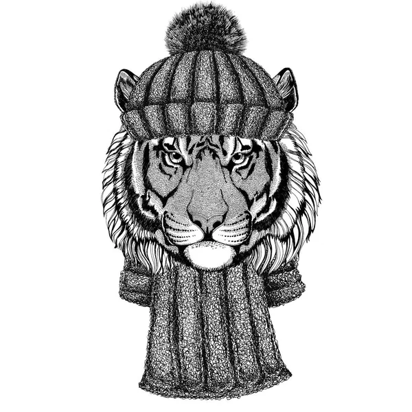 Wild tiger wearing knitted hat and scarf — Stock Photo, Image