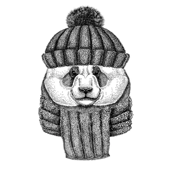 Panda bear, bamboo bear wearing knitted hat and scarf — Stock Photo, Image