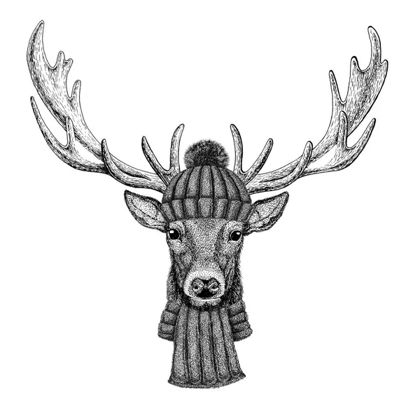 ニットの帽子とスカーフを身に着けている鹿 — ストック写真