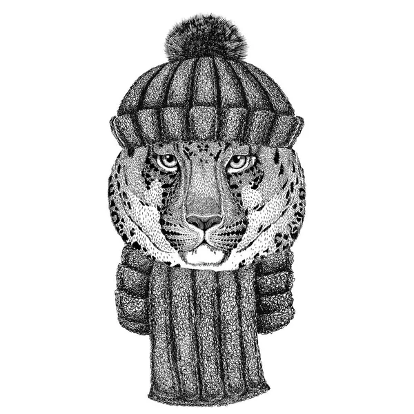 Дикий кот Леопард Кот-о-гора Пантера в вязаной шляпе и шарфе — стоковое фото