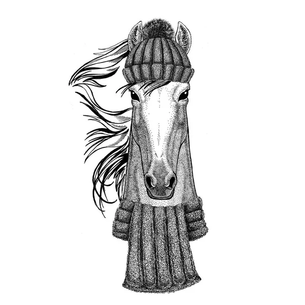 Ló, hoss, lovag, paripa, futómadár viselése térdzokni és sál — Stock Fotó