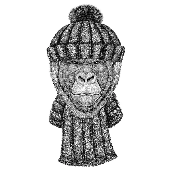 Gorilla, monkey, ape Frightful animal wearing knitted hat and scarf — Stock Photo, Image
