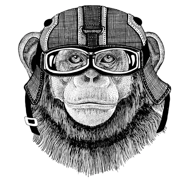 Macaco Chimpanzé usando capacete de motocicleta, capacete aviador Ilustração para t-shirt, patch, logotipo, crachá, emblema, logotipo T-shirt Biker com animal selvagem — Fotografia de Stock