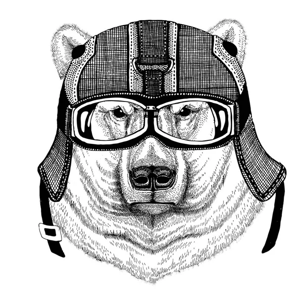 Urso polar usando capacete de motocicleta, capacete aviador Ilustração para t-shirt, patch, logotipo, crachá, emblema, logotipo T-shirt motociclista com animal selvagem — Fotografia de Stock