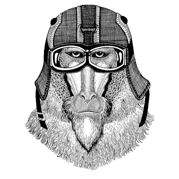 Mono, babuino, mono-perro, mono con casco de motocicleta, casco de aviador Ilustración para camiseta, parche, logotipo, insignia, emblema, logotipo Camiseta de motorista con animal salvaje —  Fotos de Stock