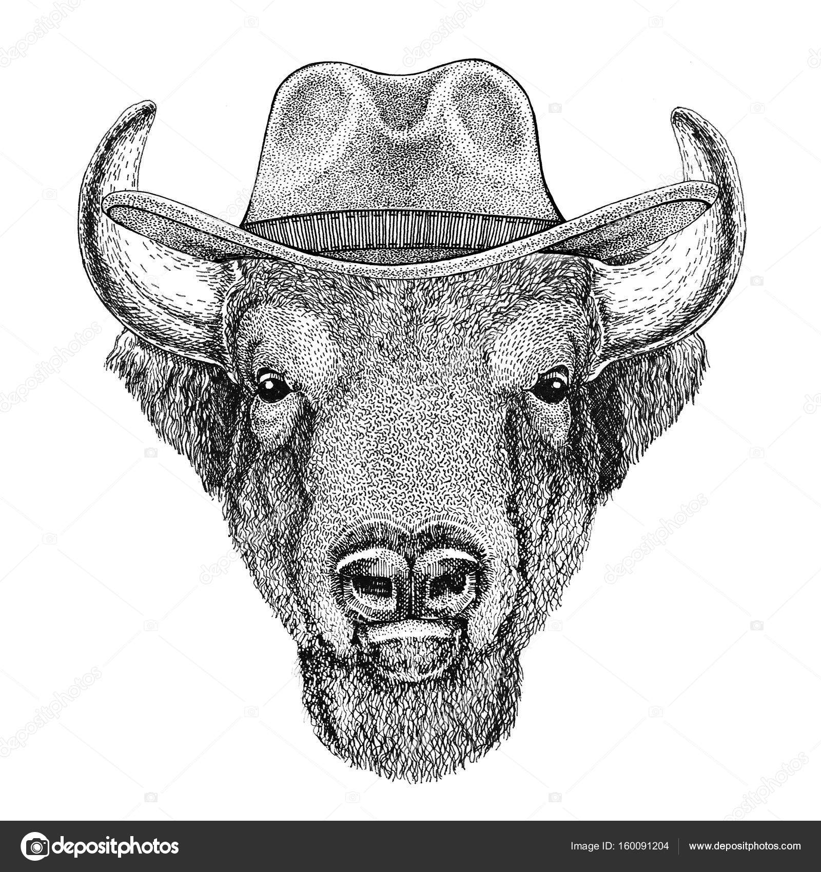 Buffalo, bison,ox, bull Wild animal wearing cowboy hat Wild west animal  Cowboy animal T-shirt, poster, banner, badge design Stock Photo by ©Helen_F  160091204