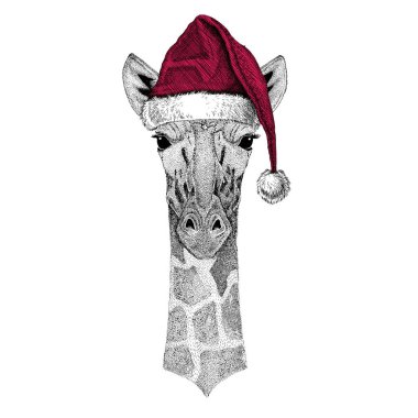 Camelopard, zürafa Christmas illüstrasyon vahşi hayvan giyen Noel Noel Baba şapkası kırmızı kış şapka tatil resim mutlu yeni yıl