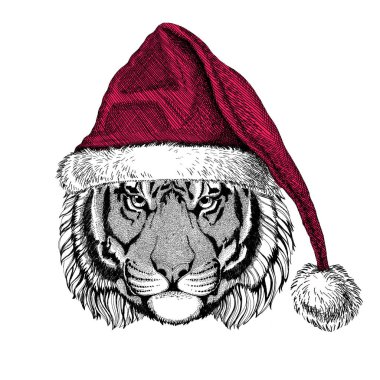 Vahşi Kaplan Christmas illüstrasyon vahşi hayvan giyen Noel Noel Baba şapkası kırmızı kış şapka tatil resim mutlu yeni yıl