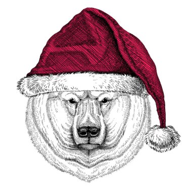 Kutup ayısı Christmas illüstrasyon vahşi hayvan giyen Noel Noel Baba şapkası kırmızı kış şapka tatil resim mutlu yeni yıl