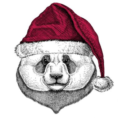 Ayı Panda, bambu ayı Christmas illüstrasyon vahşi hayvan Noel giyen santa claus şapka kırmızı kış şapka tatil resim mutlu yeni yıl