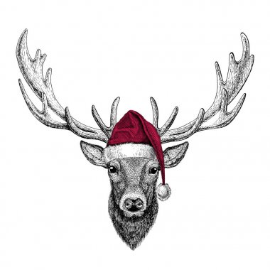 Geyik Christmas illüstrasyon vahşi hayvan giyen Noel Noel Baba şapkası kırmızı kış şapka tatil resim mutlu yeni yıl