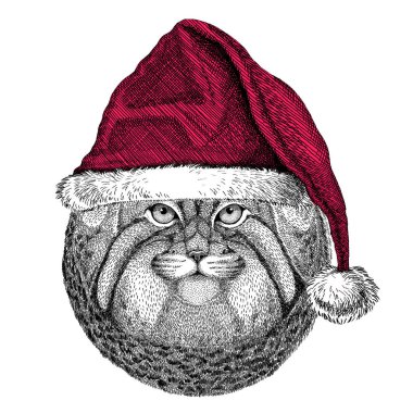 Vahşi kedi Manul Christmas illüstrasyon vahşi hayvan Noel giyen santa claus şapka kırmızı kış şapka tatil resim mutlu yeni yıl