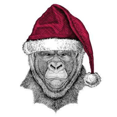 Goril, maymun, Noel giyen maymun korkunç hayvan Christmas illüstrasyon vahşi hayvan santa claus şapka kırmızı kış şapka tatil resim mutlu yeni yıl