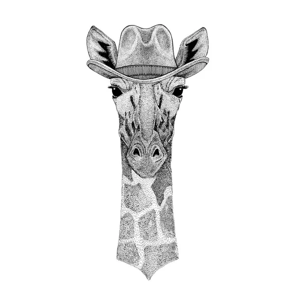 Camelopard, jirafa Animal salvaje con sombrero de vaquero Animal salvaje del oeste Camiseta de vaquero, póster, pancarta, diseño de la insignia —  Fotos de Stock