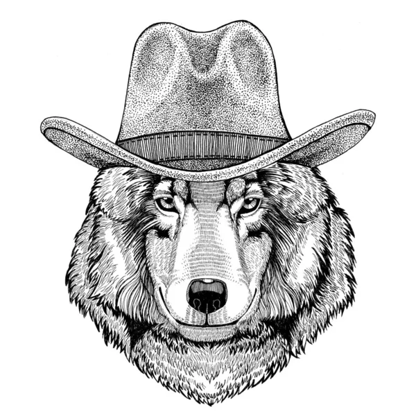 Varg hund vilda djur bär cowboy hatt vilda västern djur Cowboy djur T-shirt, affisch, banner, badge design — Stockfoto