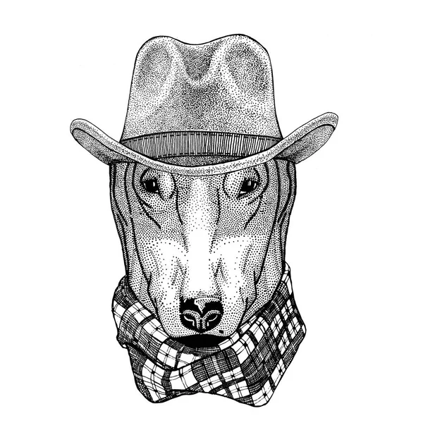PERRO para el diseño de la camiseta Animal salvaje con sombrero de vaquero Animal salvaje del oeste Camiseta de vaquero animal, cartel, pancarta, diseño de la insignia —  Fotos de Stock
