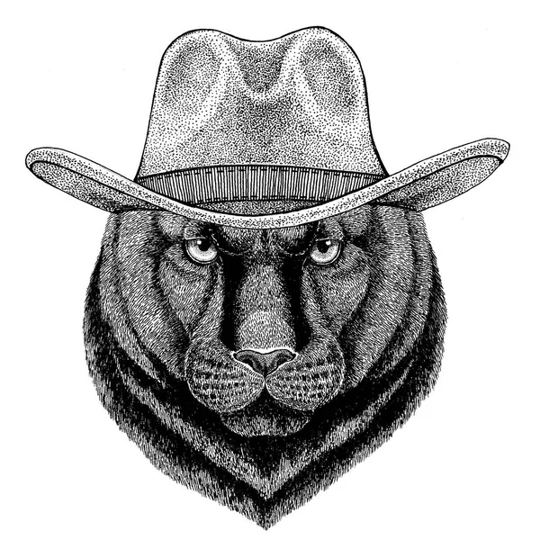 豹美洲狮美洲狮野生猫野生动物戴着牛仔帽狂野西部动物牛仔动物 t 恤、 海报、 横幅、 徽章设计 — 图库照片