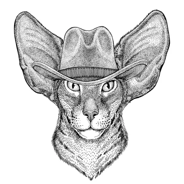 Oriental gato com orelhas grandes Wild animal vestindo chapéu cowboy Wild West animal Cowboy animal T-shirt, cartaz, banner, design de crachá — Fotografia de Stock