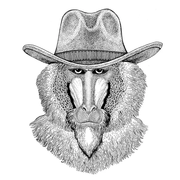 Scimmia, babbuino, scimmia, scimmia Animali selvatici con cappello da cowboy Animali selvatici West T-shirt, poster, banner, badge design — Foto Stock