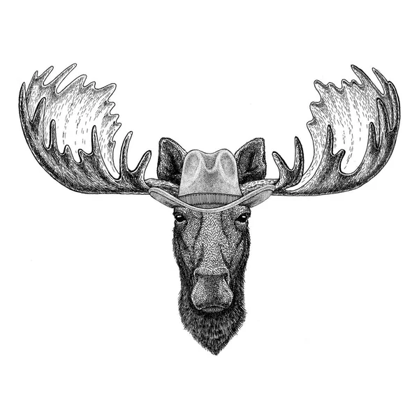 Moose, elk vahşi hayvan giyen kovboy şapkası vahşi batı hayvan kovboy hayvan T-shirt, poster, afiş, tasarım rozet — Stok fotoğraf