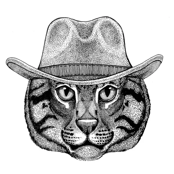 Vadmacska halászati macska vadon élő állat rajta cowboy kalapot vadnyugati Cowboy állat, állat design póló, poszter, zászló, jelvény — Stock Fotó