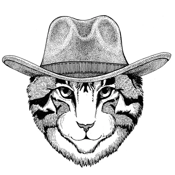 Image of domestic cat Wild animal wearing cowboy hat Wild west animal Cowboy animal T-shirt, poster, banner, badge design — Stock Photo, Image