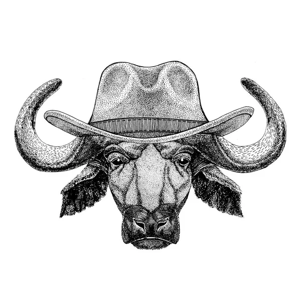 Buffalo, touro, boi Animal selvagem vestindo chapéu de cowboy Animal selvagem do oeste T-shirt, cartaz, banner, design de crachá — Fotografia de Stock