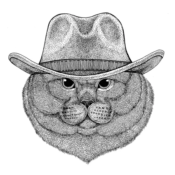 Brithish nobre gato macho selvagem animal vestindo cowboy chapéu selvagem oeste animal vaqueiro animal t-shirt, cartaz, banner, badge design — Fotografia de Stock