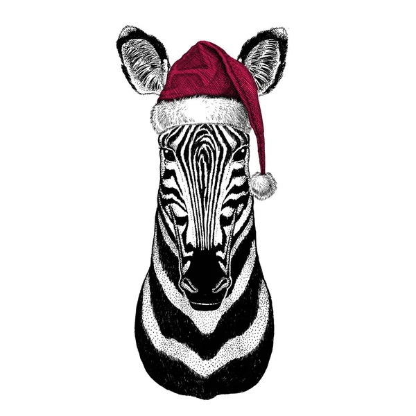 ゼブラ馬クリスマス イラストの野生動物が身に着けているクリスマス サンタ帽子赤冬帽子休日画像幸せな新年 — ストック写真
