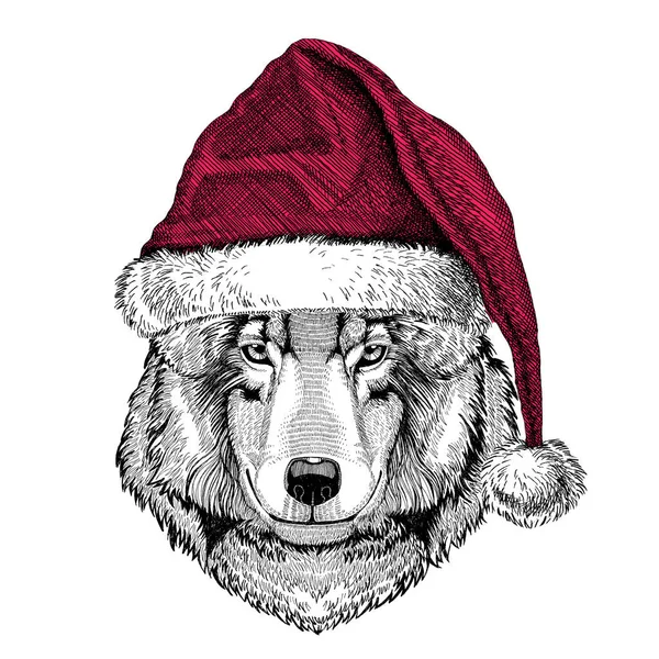 Wolf Dog Illustration de Noël Animal sauvage portant le chapeau de Noël Santa Claus Chapeau rouge d'hiver Photo de vacances Bonne année — Photo