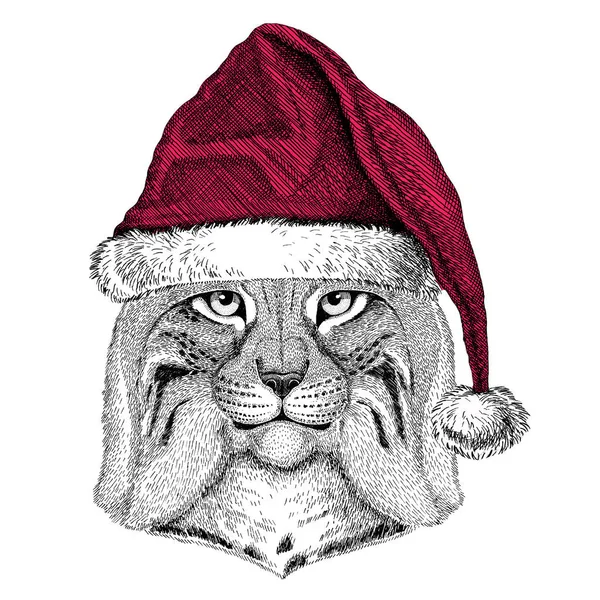 Vahşi kedi Lynx Bobcat tırıs Christmas illüstrasyon vahşi hayvan giyen Noel Noel Baba şapkası kırmızı kış şapka tatil resim mutlu yeni yıl