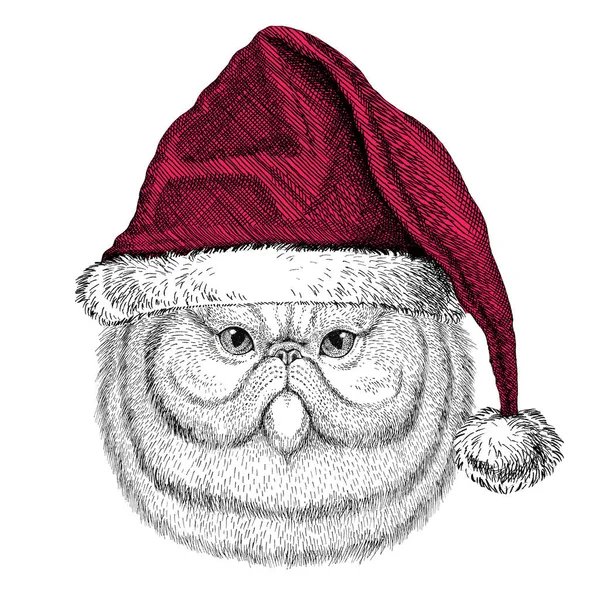 Portresi kabarık Farsça kedi Christmas illüstrasyon vahşi hayvan Noel giyen santa claus şapka kırmızı kış şapka tatil resim mutlu yeni yıl