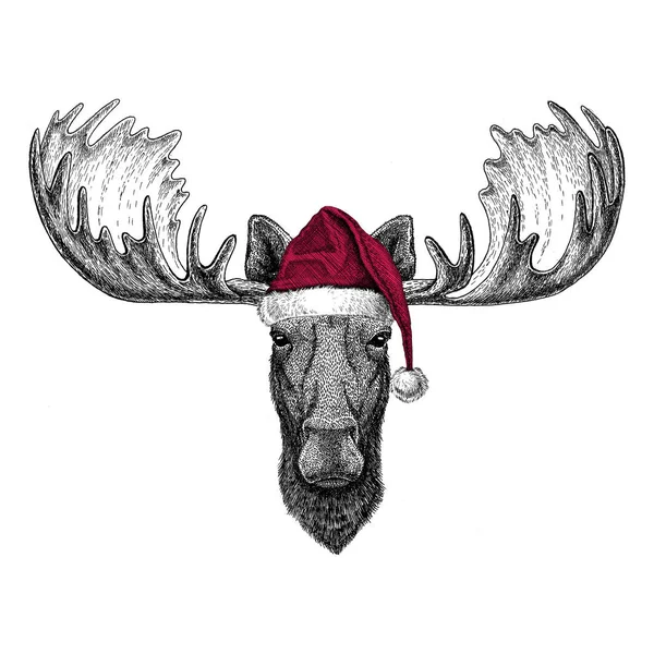 Moose, elk Christmas illüstrasyon vahşi hayvan Noel giyen Noel Baba şapkası kırmızı kış şapka tatil resim mutlu yeni yıl