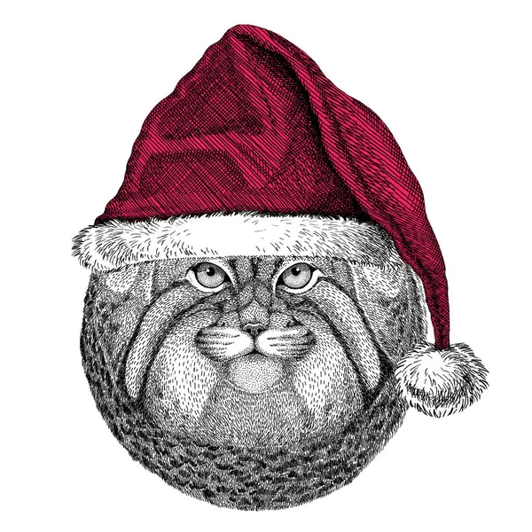 Άγρια γάτα Manul Χριστούγεννα απεικόνιση άγριων ζώων φορώντας Χριστούγεννα Αϊ Βασίλη καπέλο καπέλο κόκκινο χειμώνα διακοπές εικόνα ευτυχισμένο το νέο έτος — Φωτογραφία Αρχείου