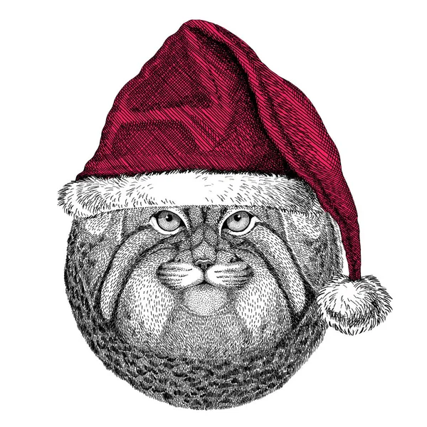 Vahşi kedi Manul Christmas illüstrasyon vahşi hayvan Noel giyen santa claus şapka kırmızı kış şapka tatil resim mutlu yeni yıl