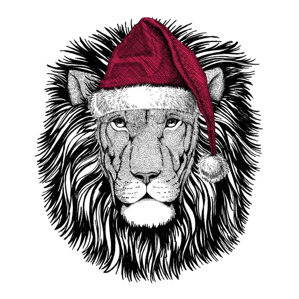 Vahşi aslan Christmas illüstrasyon vahşi hayvan giyen Noel Noel Baba şapkası kırmızı kış şapka tatil resim mutlu yeni yıl