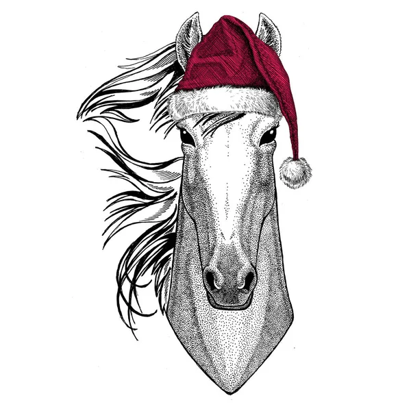 Άλογο, hoss, ιππότης, άτι courser Χριστούγεννα απεικόνιση άγριων ζώων φορώντας Χριστούγεννα Αϊ Βασίλη καπέλο κόκκινο χειμερινό καπέλο διακοπών εικόνα ευτυχισμένο το νέο έτος — Φωτογραφία Αρχείου