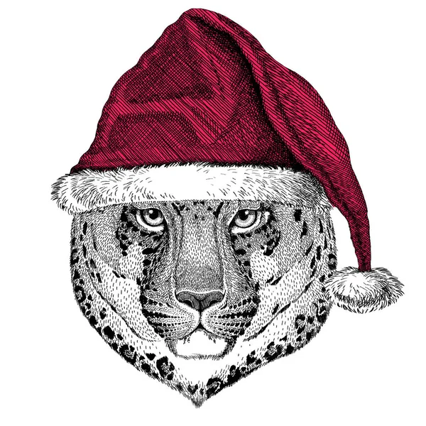 Wilde kat Leopard Cat-o-berg Panther Kerstmis illustratie Wild dier dragen van Kerstmis Kerstman hoed rood winter hoed vakantie foto gelukkig Nieuwjaar — Stockfoto