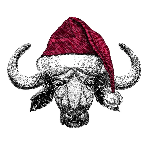 Buffalo, býk, vůl vánoční obrázek divoké zvíře nosí vánoční santa claus čepice červená zimní čepice Holiday obrázek šťastný nový rok — Stock fotografie