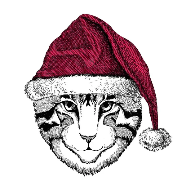 Wizerunek kota domowego Boże Narodzenie ilustracja dzikich zwierząt, noszenie Boże Narodzenie santa claus kapelusz czerwony zimowe wakacje obraz szczęśliwego nowego roku — Zdjęcie stockowe