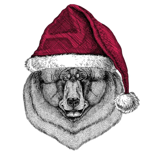 Oso Negro Oso Americano Ilustración de Navidad Animal salvaje con sombrero de Navidad Santa Claus Sombrero de invierno rojo Foto de vacaciones Feliz año nuevo — Foto de Stock