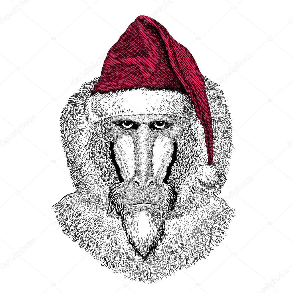 Christmas illustration Wild animal wearing christmas santa claus hat Red winter hat Holiday picture Happy new year