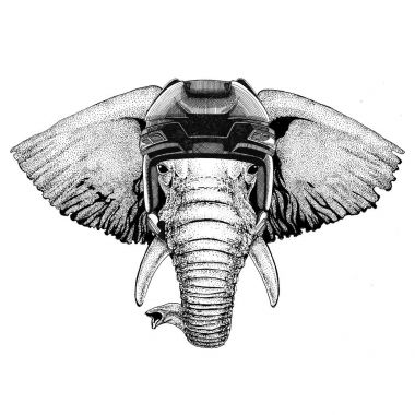 Hokey kask spor hayvan kış spor hokey spor giyen Afrika ya da Hindistan fil hokey görüntü vahşi hayvan