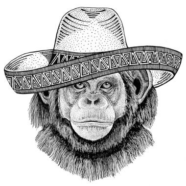 Şempanze maymun vahşi hayvan giyen sombrero Meksika Fiesta Meksika parti illüstrasyon Vahşi Batı