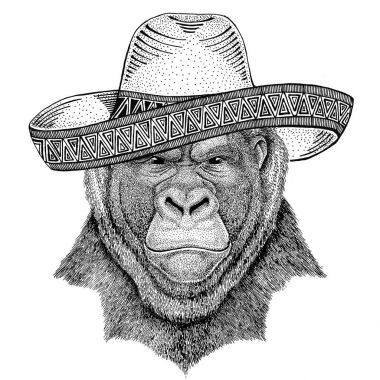 Goril, maymun, maymun korkunç hayvan vahşi hayvan sombrero Meksika Fiesta Meksika partisi illüstrasyon vahşi batı giyiyor