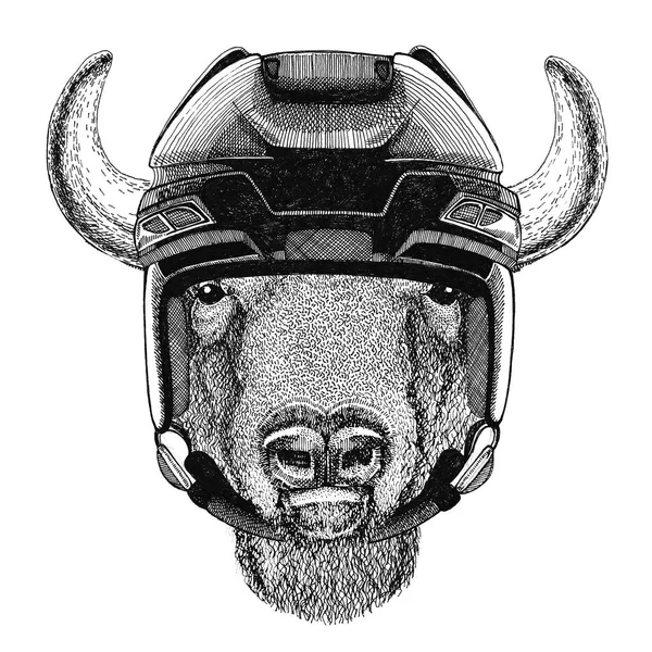 Buffalo, bison, boeuf, taureau Image du hockey Casque de hockey animal sauvage Sport animal Sport d'hiver Sport de hockey — Photo