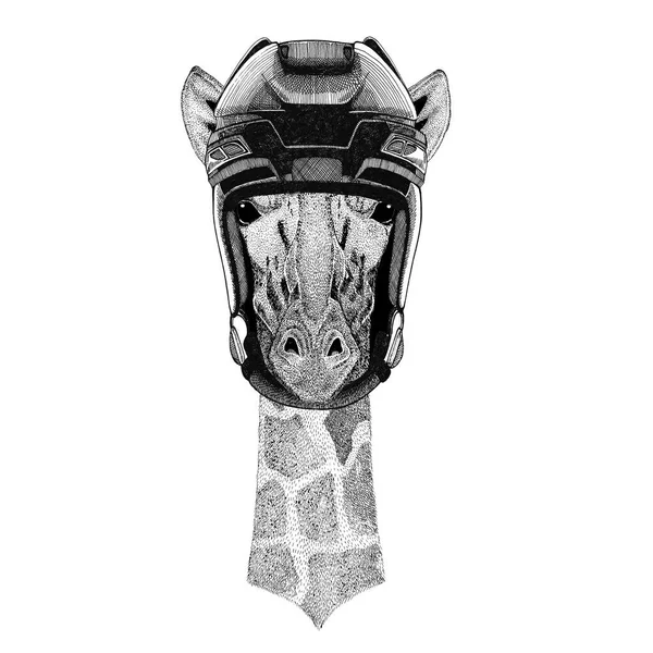 Camelopard, giraffe Hockey image Wild animal wearing hockey helmet Sport animal Winter sport Hockey sport — Stock Photo, Image