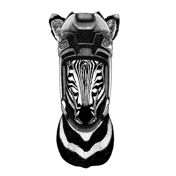 Zebra Jégkorong ló kép vadon élő állat visel Jégkorong sisak Sport állat téli sport sport jégkorong — Stock Fotó